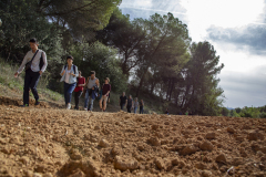 BO-Festival-22-©-Mila-Ercoli_99