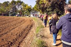 Bo Festival 2025 ©Tristan Perez-Martin