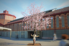 Sfumato_Arbre-cr.-Llum-de-Fideu-1