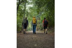 Diseño sin título - 1